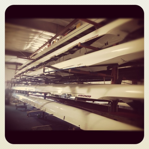 blogger-image-1919460390