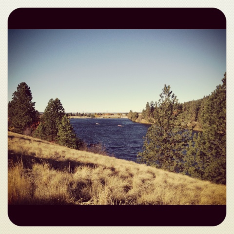 blogger-image--466314783